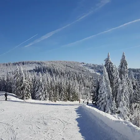Lipno-1 Apartamento Lipno nad Vltavou